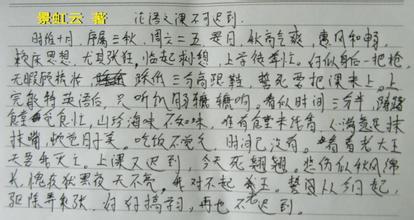 叙事作品800字