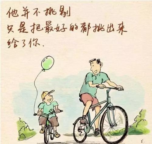 了解父爱