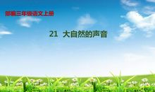 大自然的声音400字