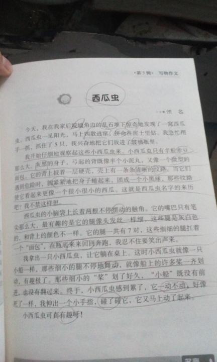 植物观察日记300字百科全书