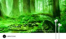 倾听大自然的声音600字