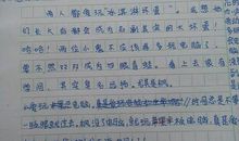 描写春雨的作文