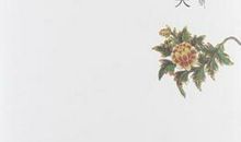 你是人间四月天读后感