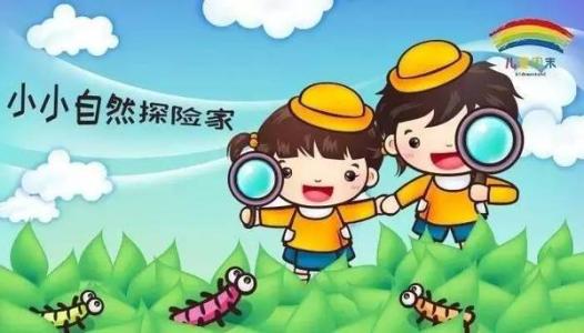 冒险与保险