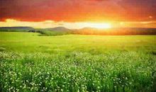 草原上的日出作文