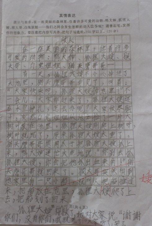 我的兄弟作文