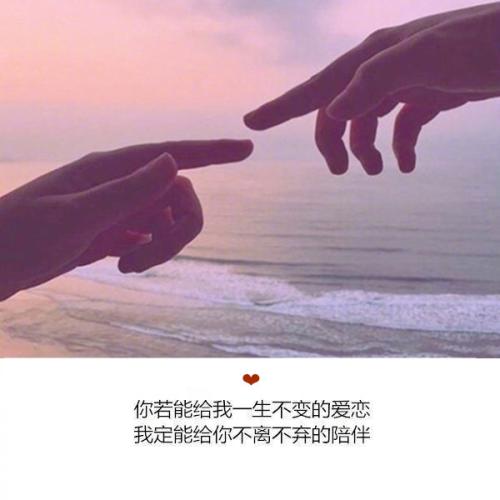 我了解生活