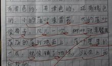 老师对我的爱作文