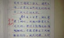 春天的作文800字