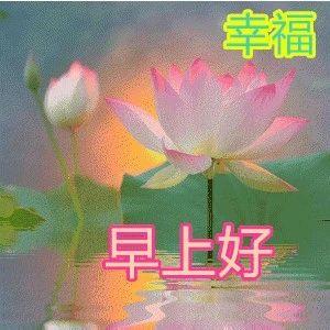 西川经典语录