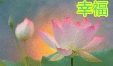 西川经典语录语句