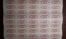 许鞍华经典语录语句