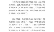 难忘的春节作文600字