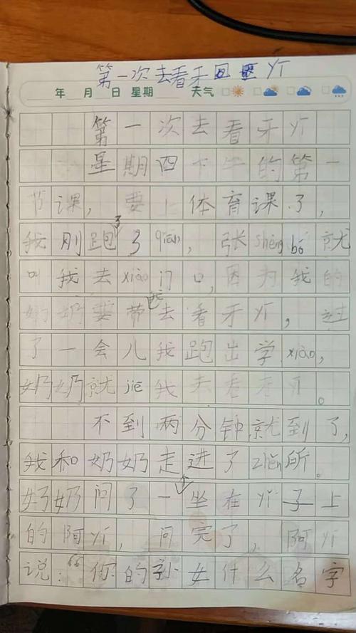 篮球比赛组成