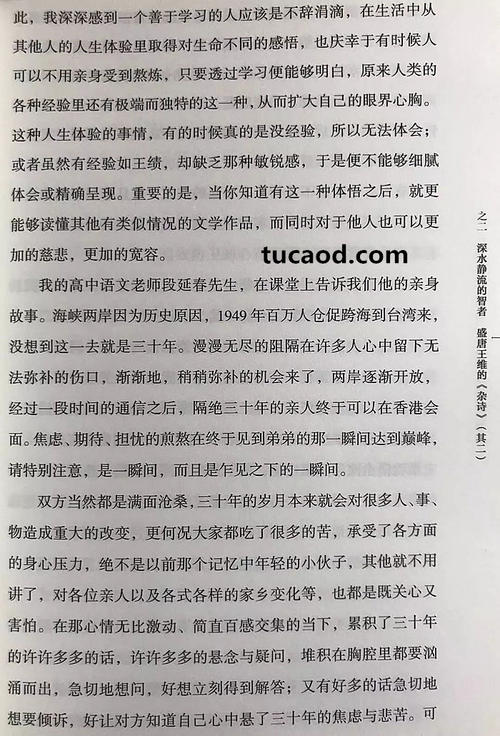 白痴