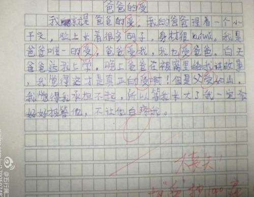 老师的爱情作文800字