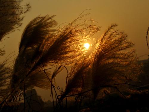 夕阳的温暖
