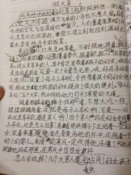 假文盲六年级作文400字