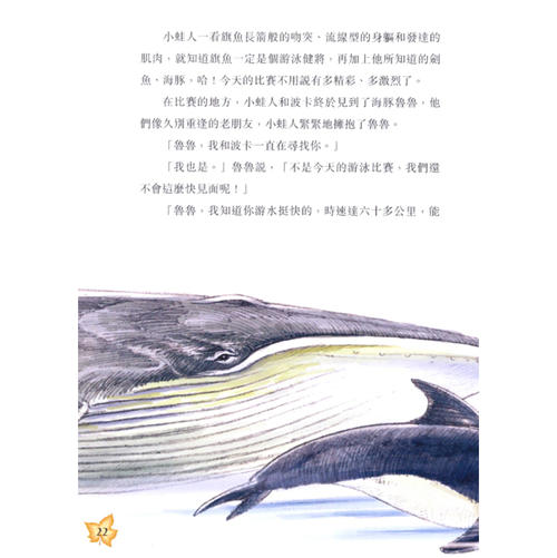 寻找美人鱼