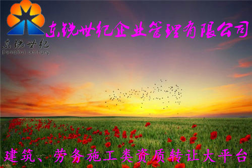 第二次创业的成功范例