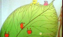 青蛙的故事读后感