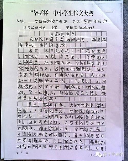 特殊日子作文