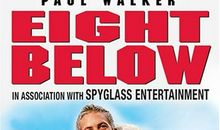 南极大冒险读后感