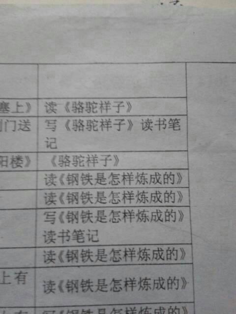 读《湘子骆驼》第七章