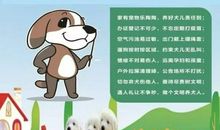 网络安全与道德作文