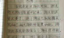 日记300字左右