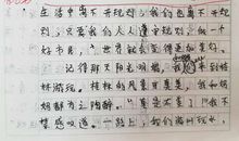 写一件有关规则的事