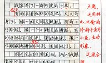 难忘的生日聚会作文