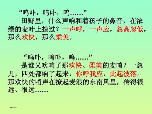 看完我的想法