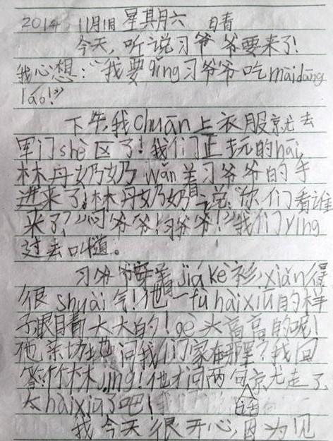 我的爷爷日记