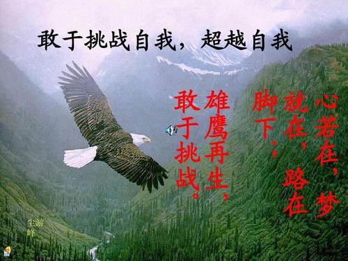 超越自我组成