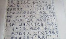 梅花作文200字