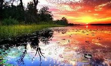 经典语句：心灵的宁静即是幸福