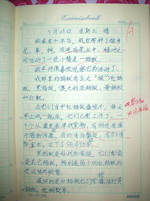 难忘的端午节组成
