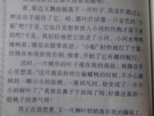 唱自己的歌，写500个字
