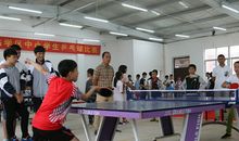 打乒乓球作文400字