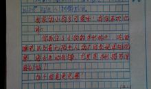 我的快乐五一作文