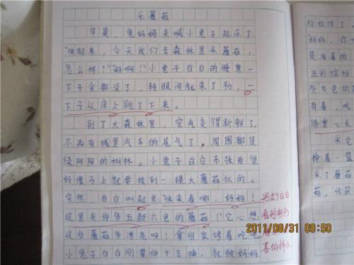 成长足迹八年级组成