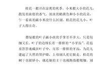 描写桂花的作文300字