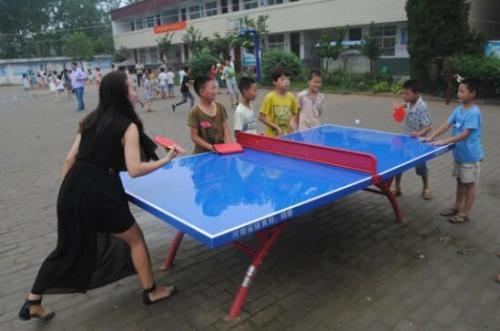 乒乓球的组成