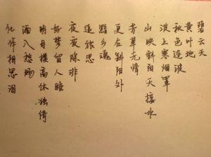 苏木哲重写