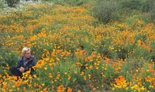 对一朵花微笑读后感
