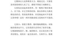 玩溜溜球作文