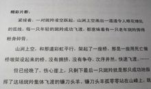 初一寒假读后感