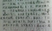 难忘的寒假作文600字