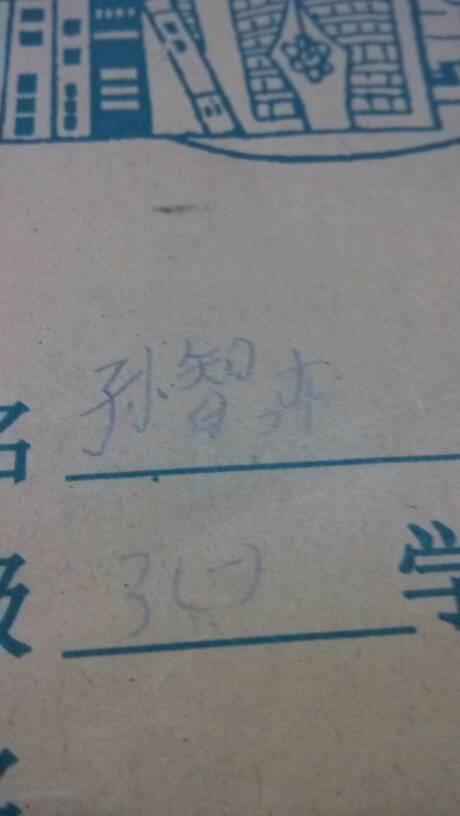 如果我会变成鸟儿